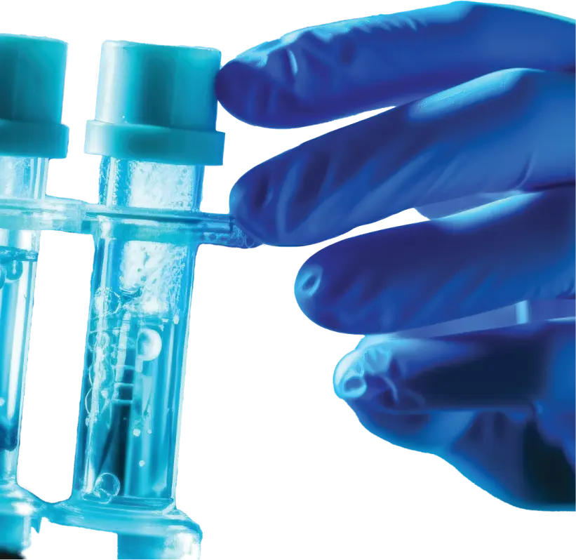 Follicular Monitoring